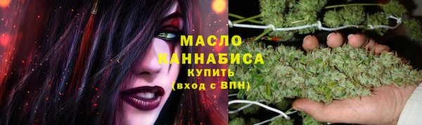 дмт Абаза